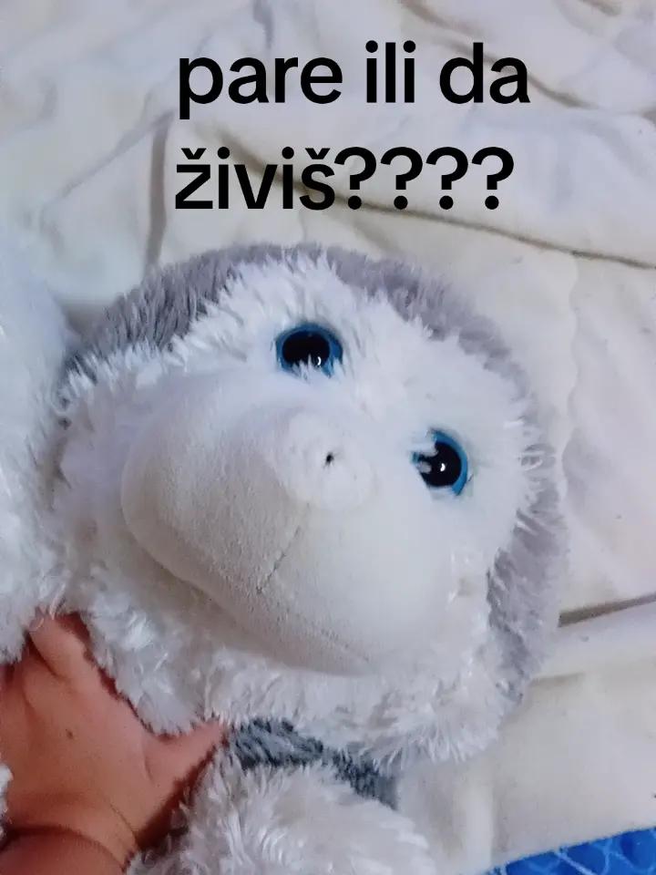 @NECA KRALJ