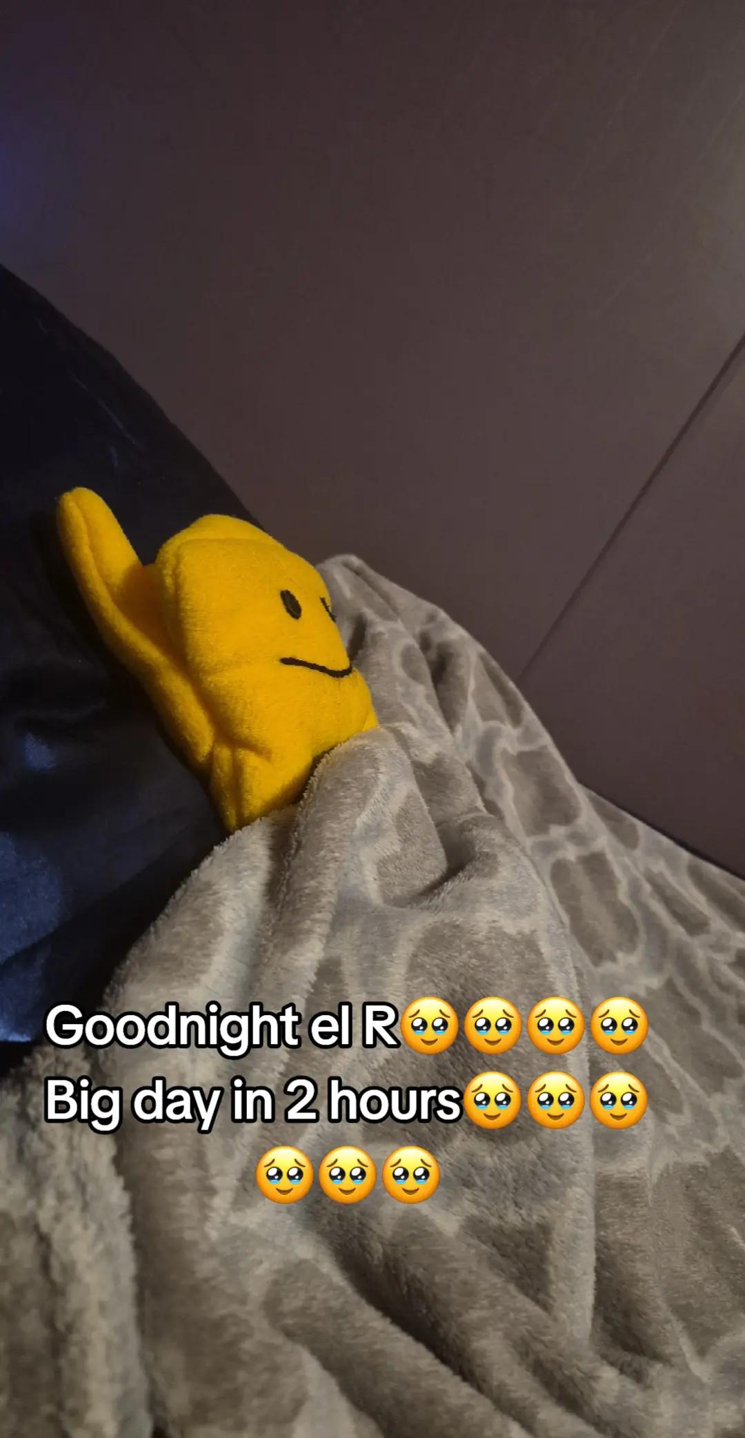 @snappaw ๐๐