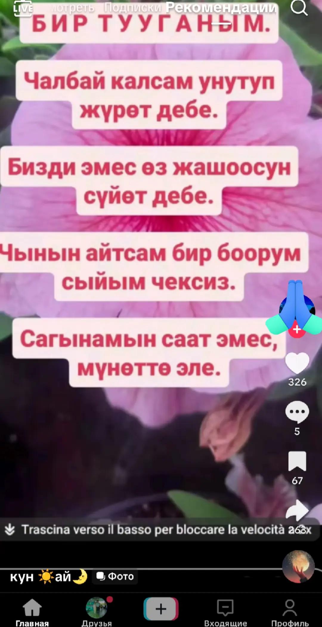 @Эля
