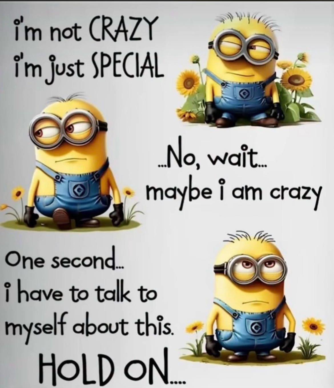 @mommo19717