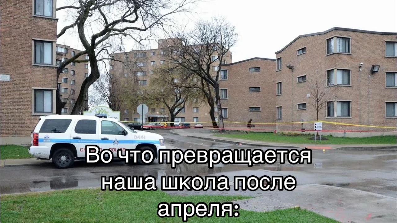 @🇪🇺🇫🇮 𝑭𝒓𝒐𝒔𝒕🪽