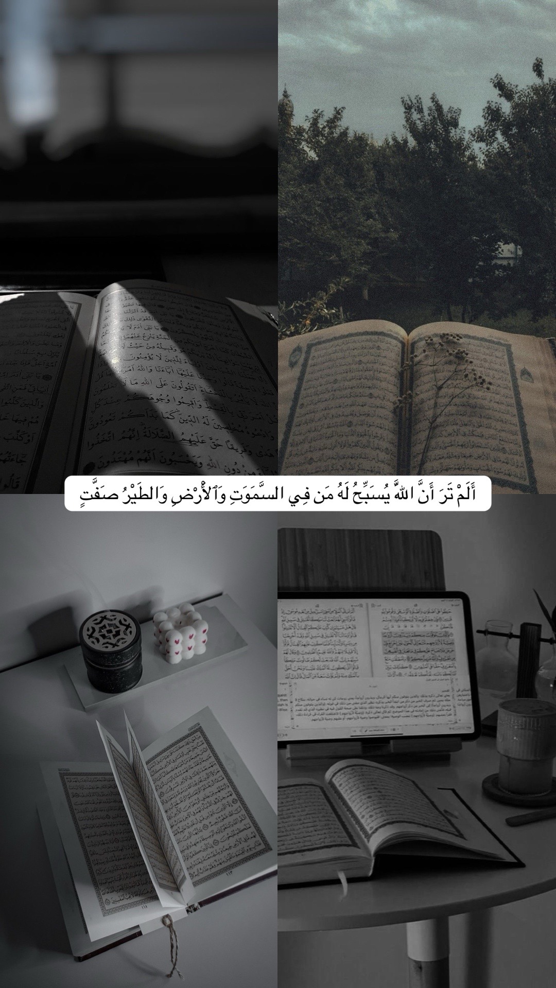 @Quran|| قُرْآن