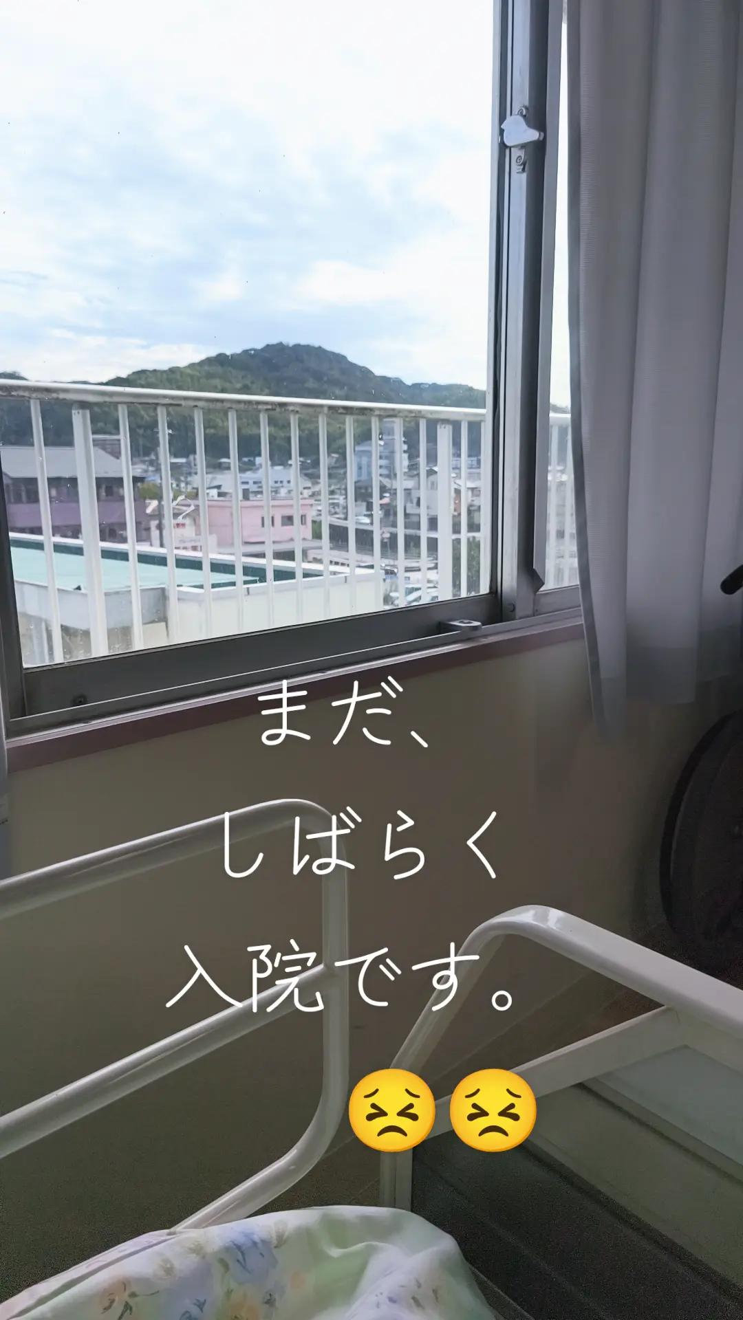 @🌹雪ウサギ🌹