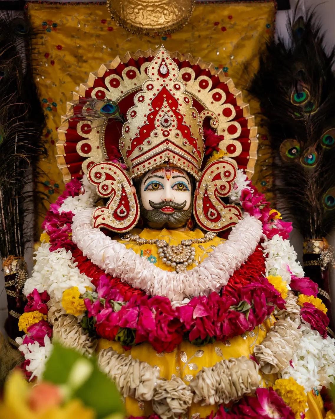 @shree shyam premi🫶🚩🕉️✨