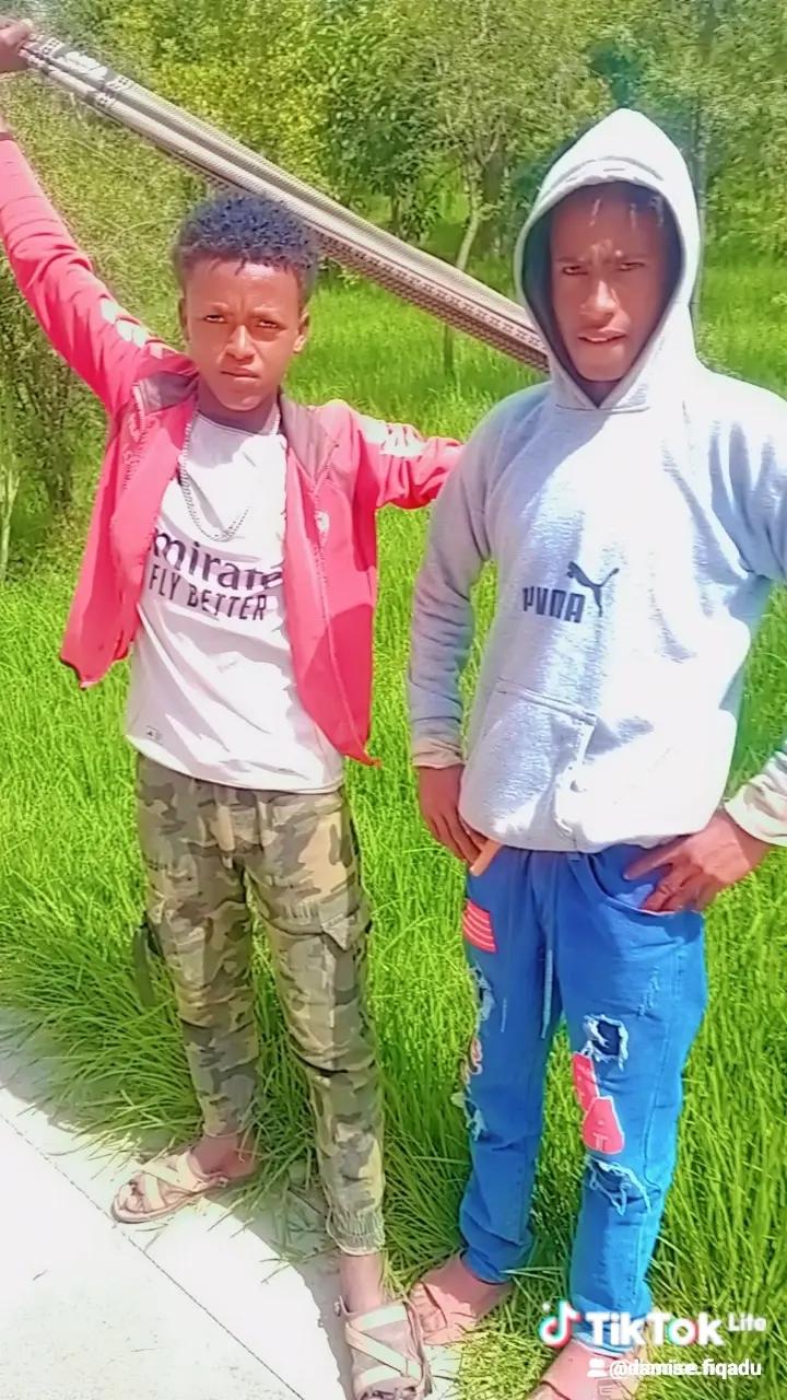 @Damise Fiqadu