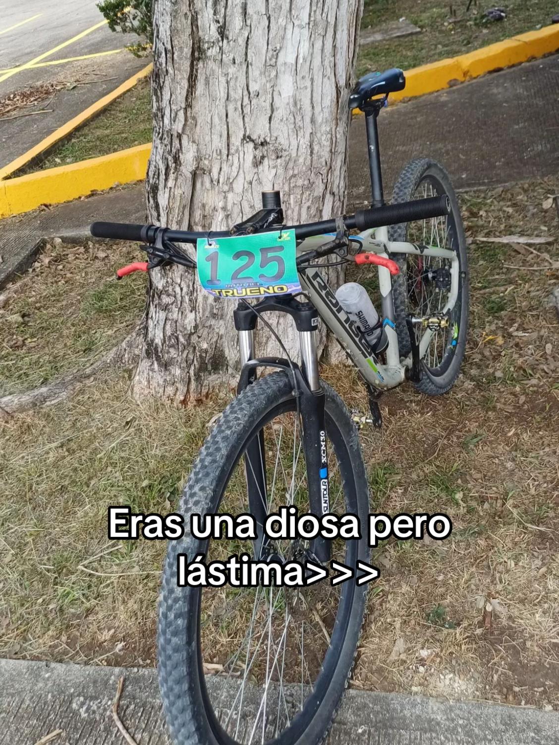 @Jesús Castro