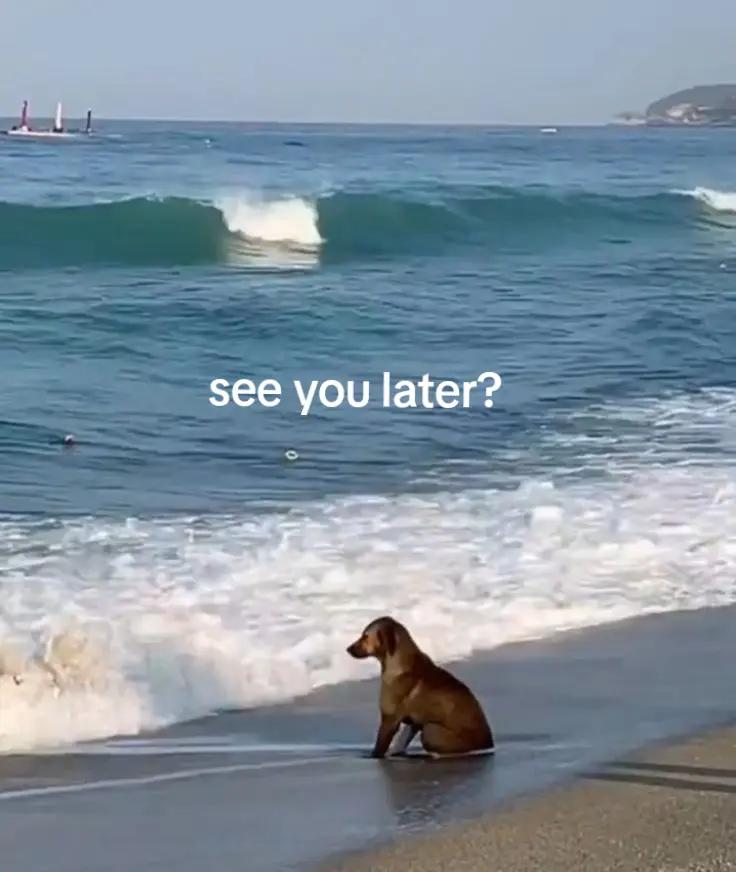 @nat.cobain