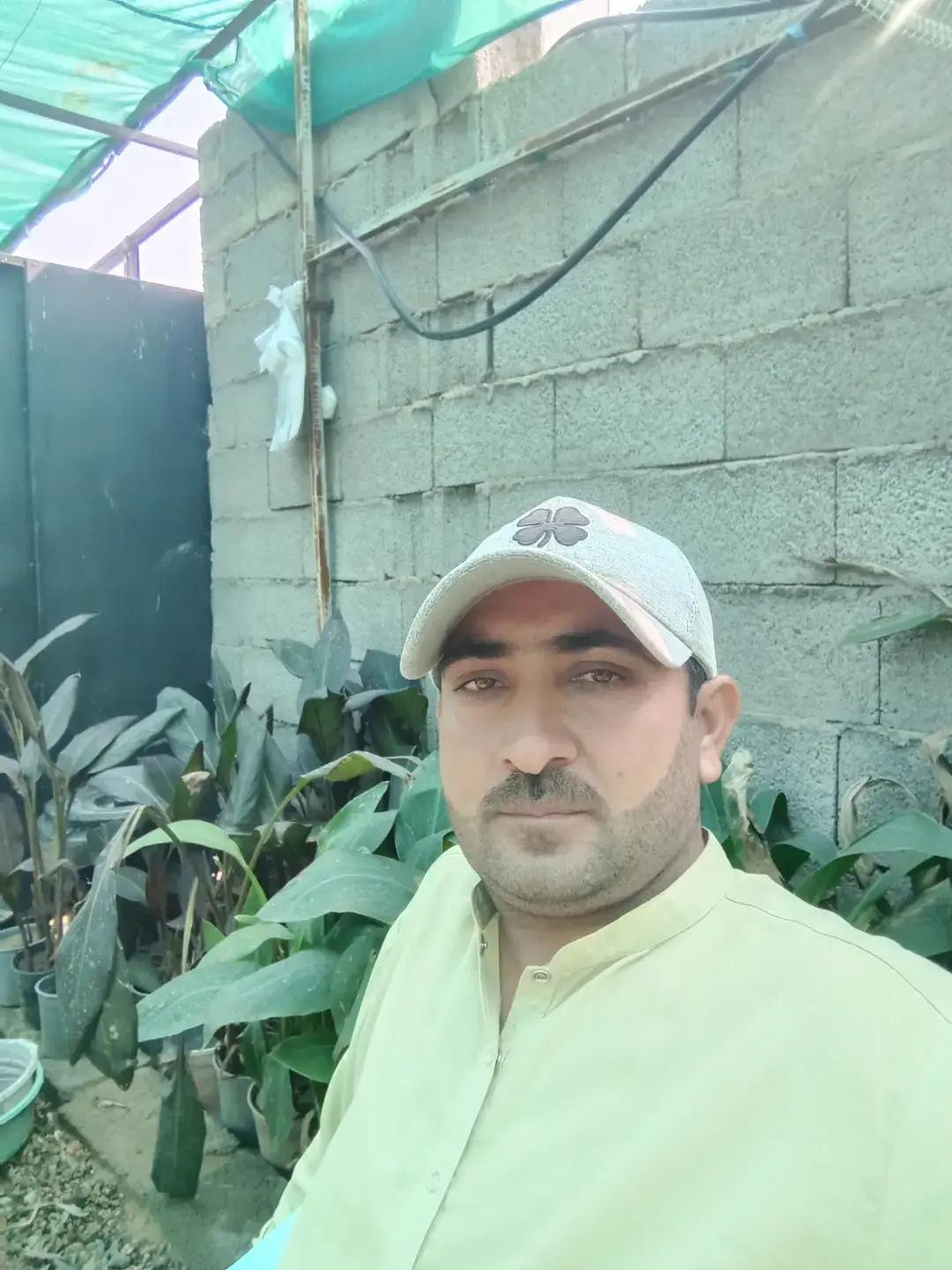@Meer Hamza