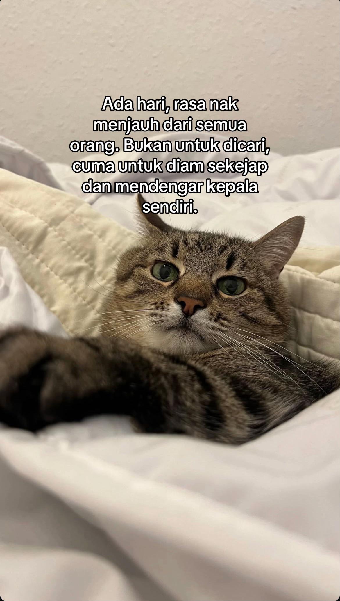 @ngeong prot prot