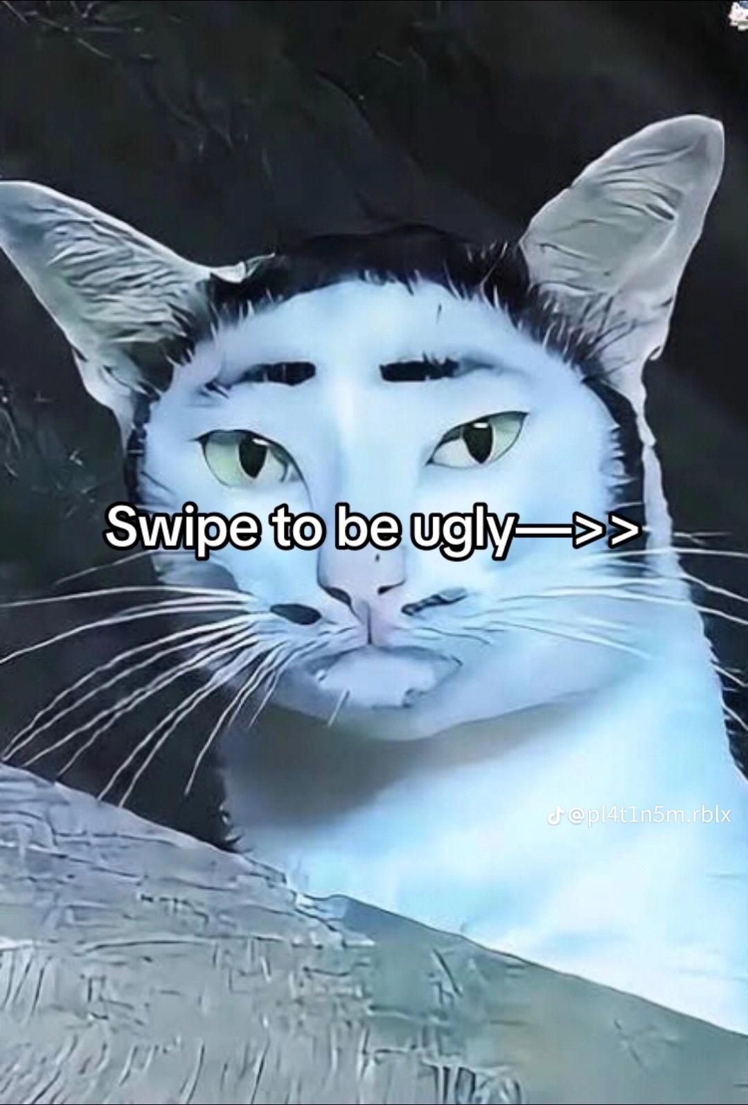 @Justine!!!! rawr
