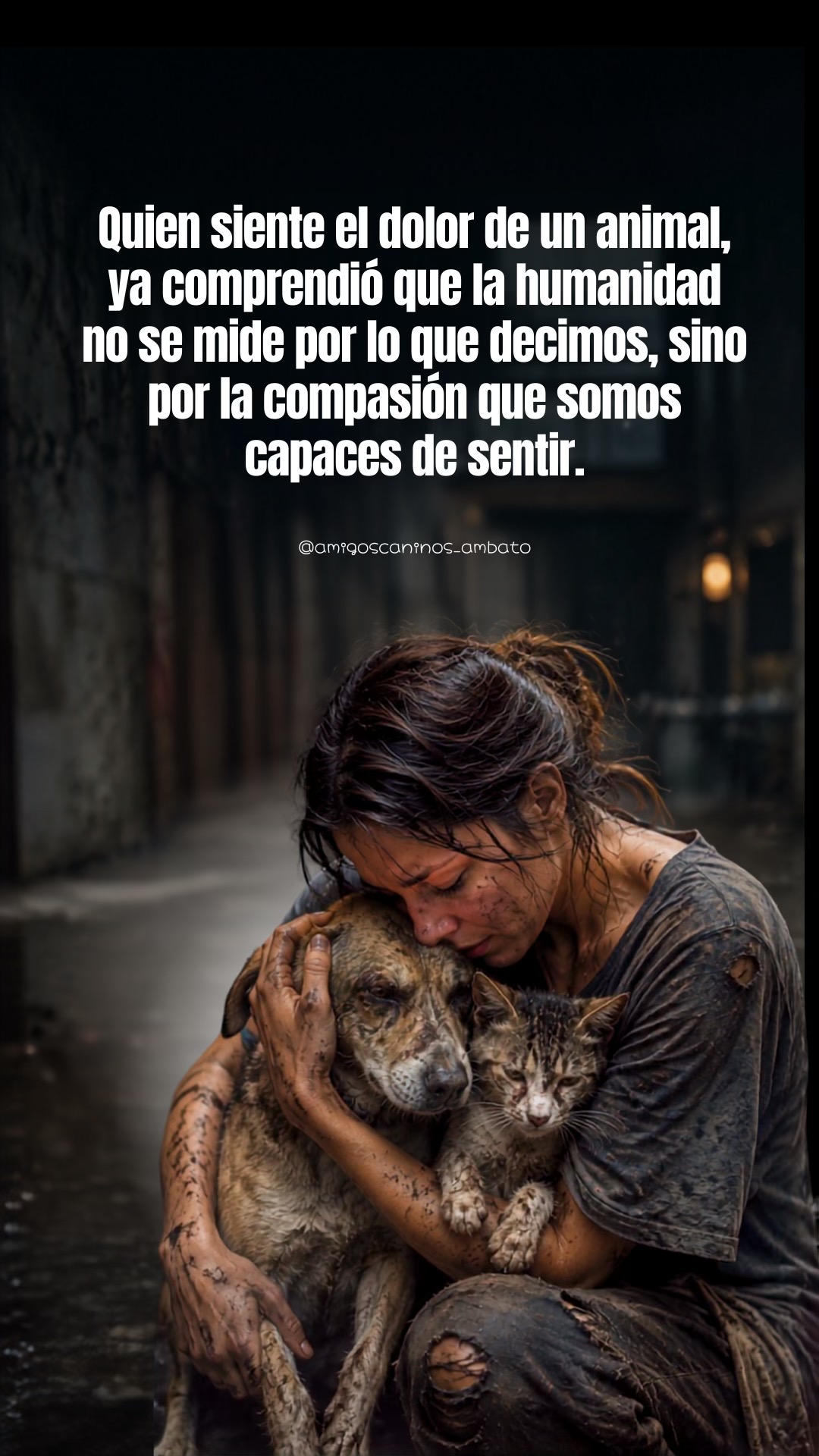 @Amigoscaninos_Ambato