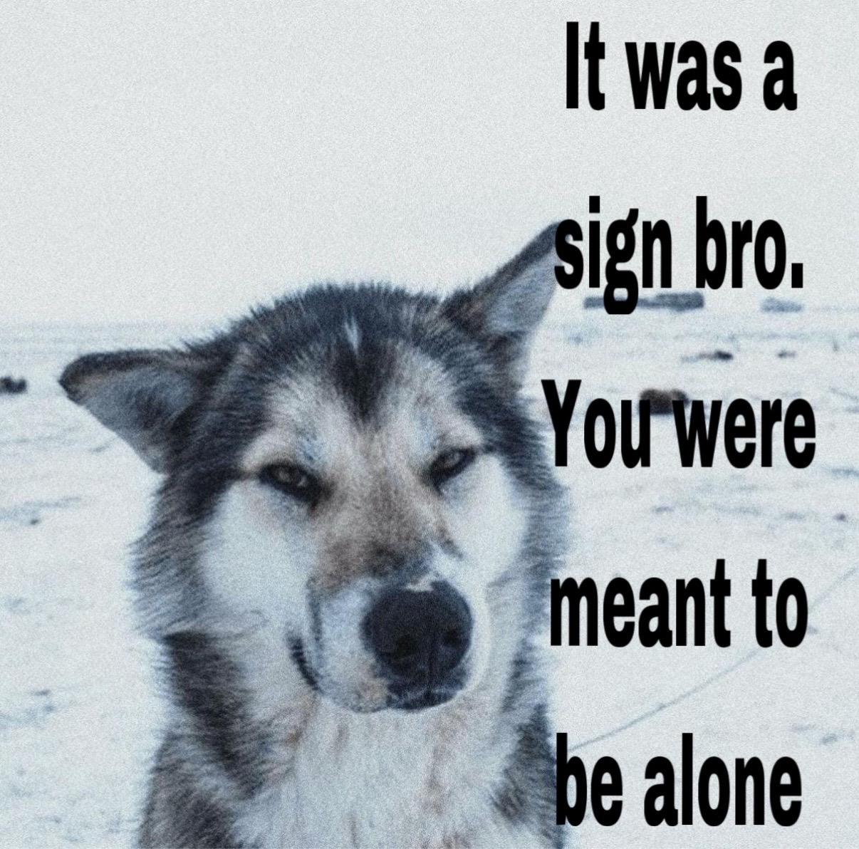 @L