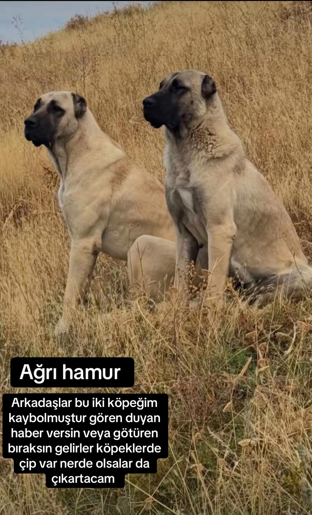 @yusuf yıldırım 04