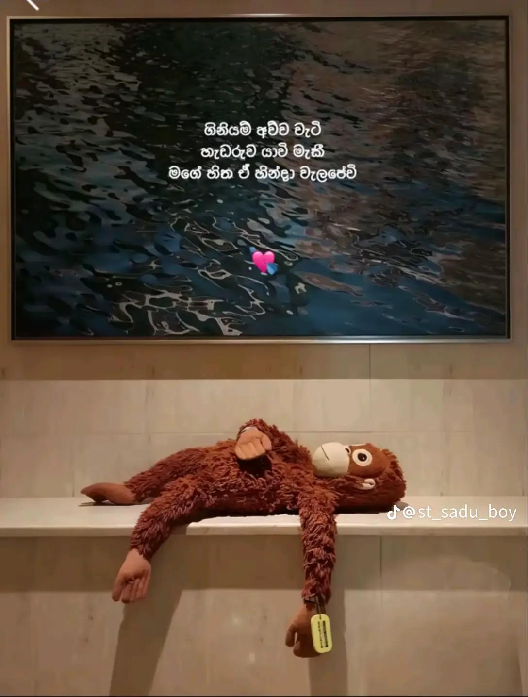 @🫀💞 𝗧𝗛𝗔𝗥𝗨