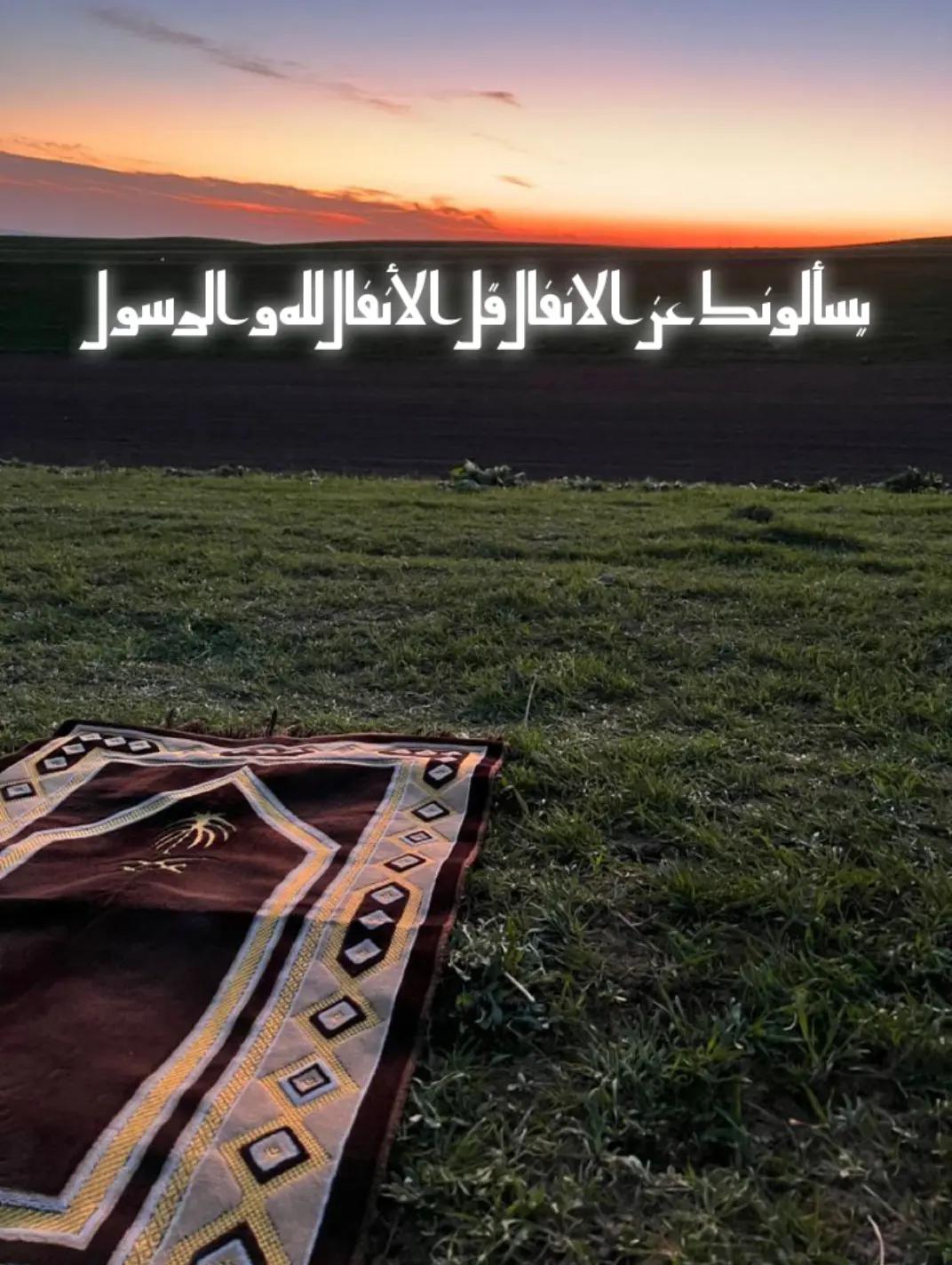 @♛ 𝐇𝐚𝐦𝐦𝐚𝐝𝐢 ♛