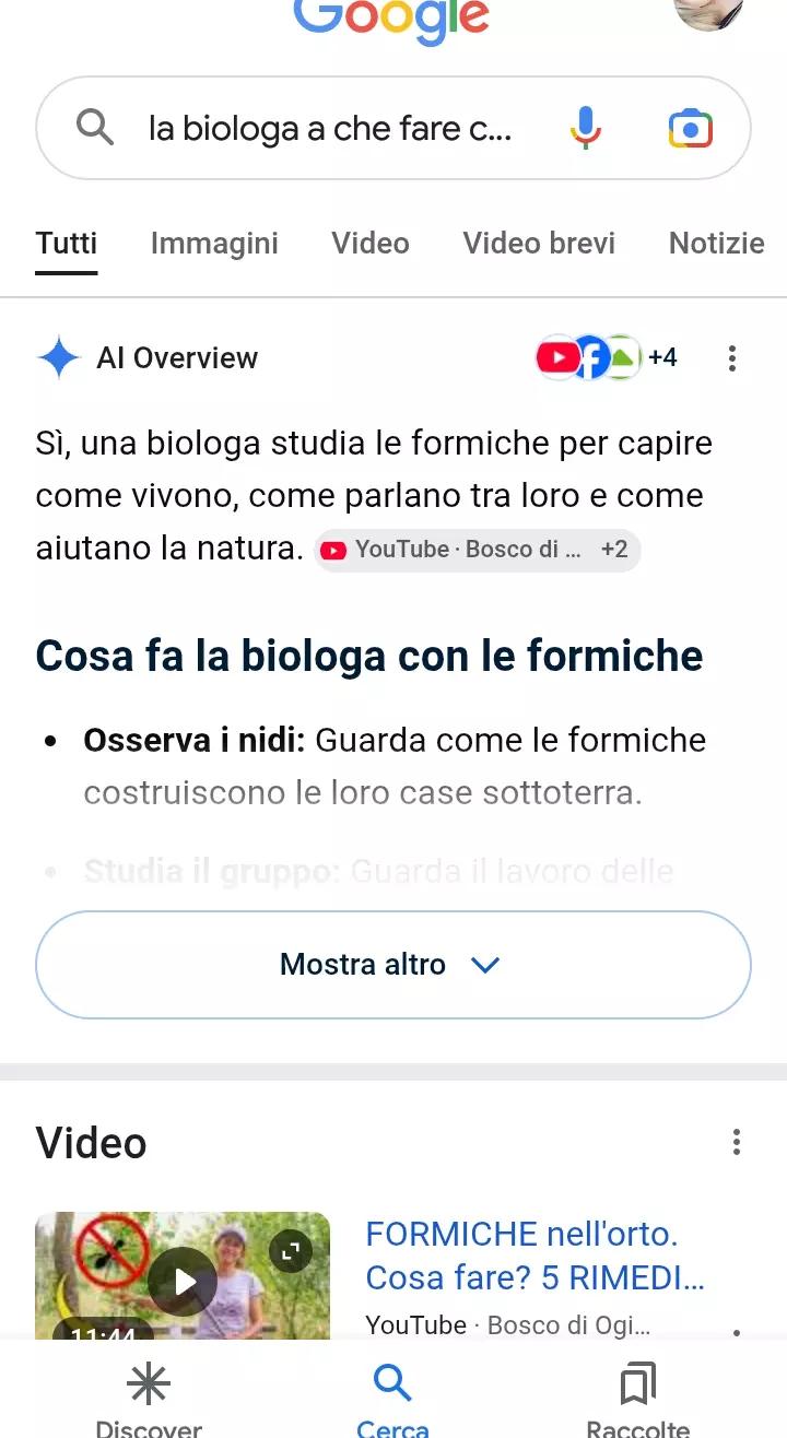 @Marinella Erbi