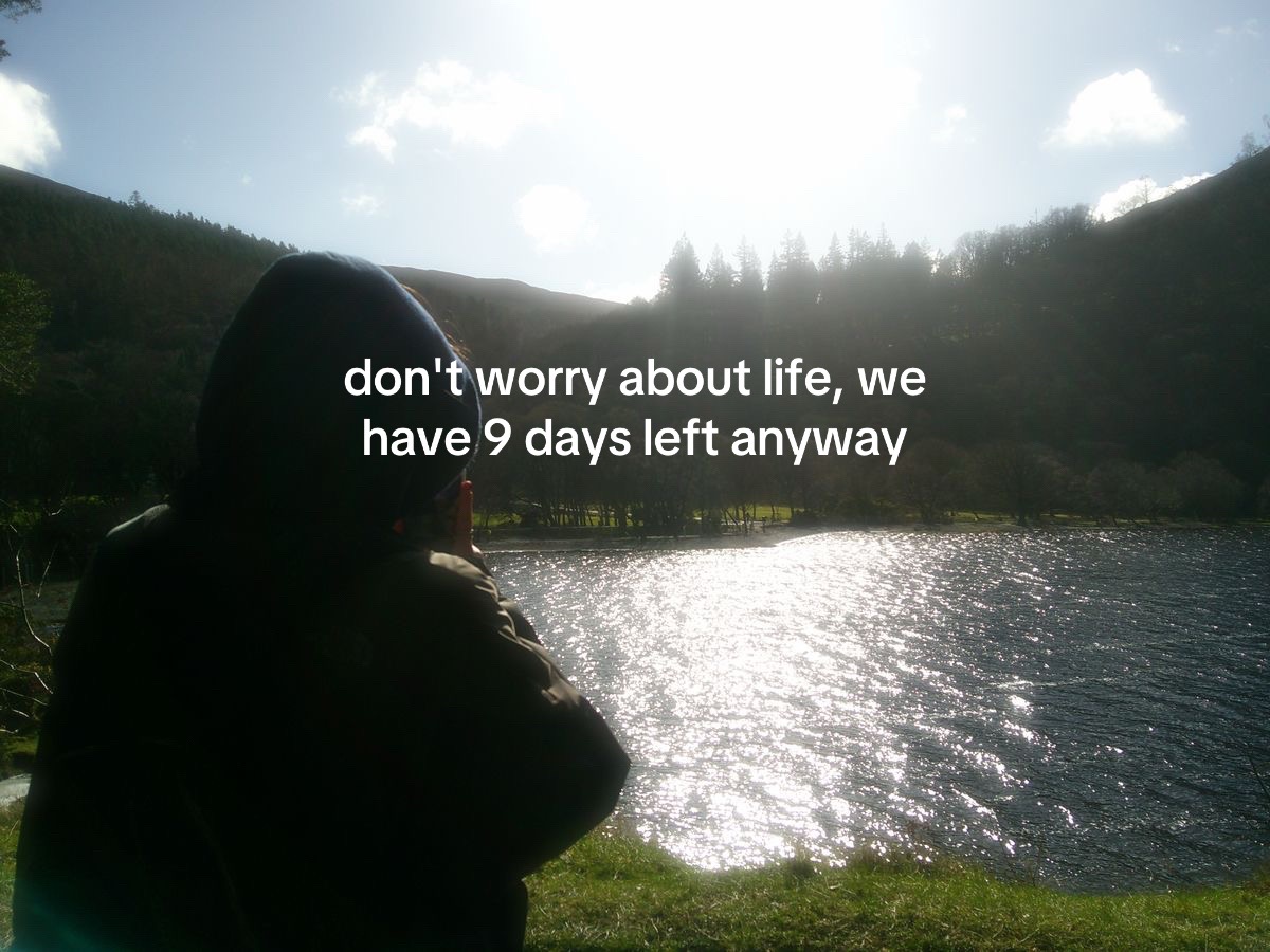@｡