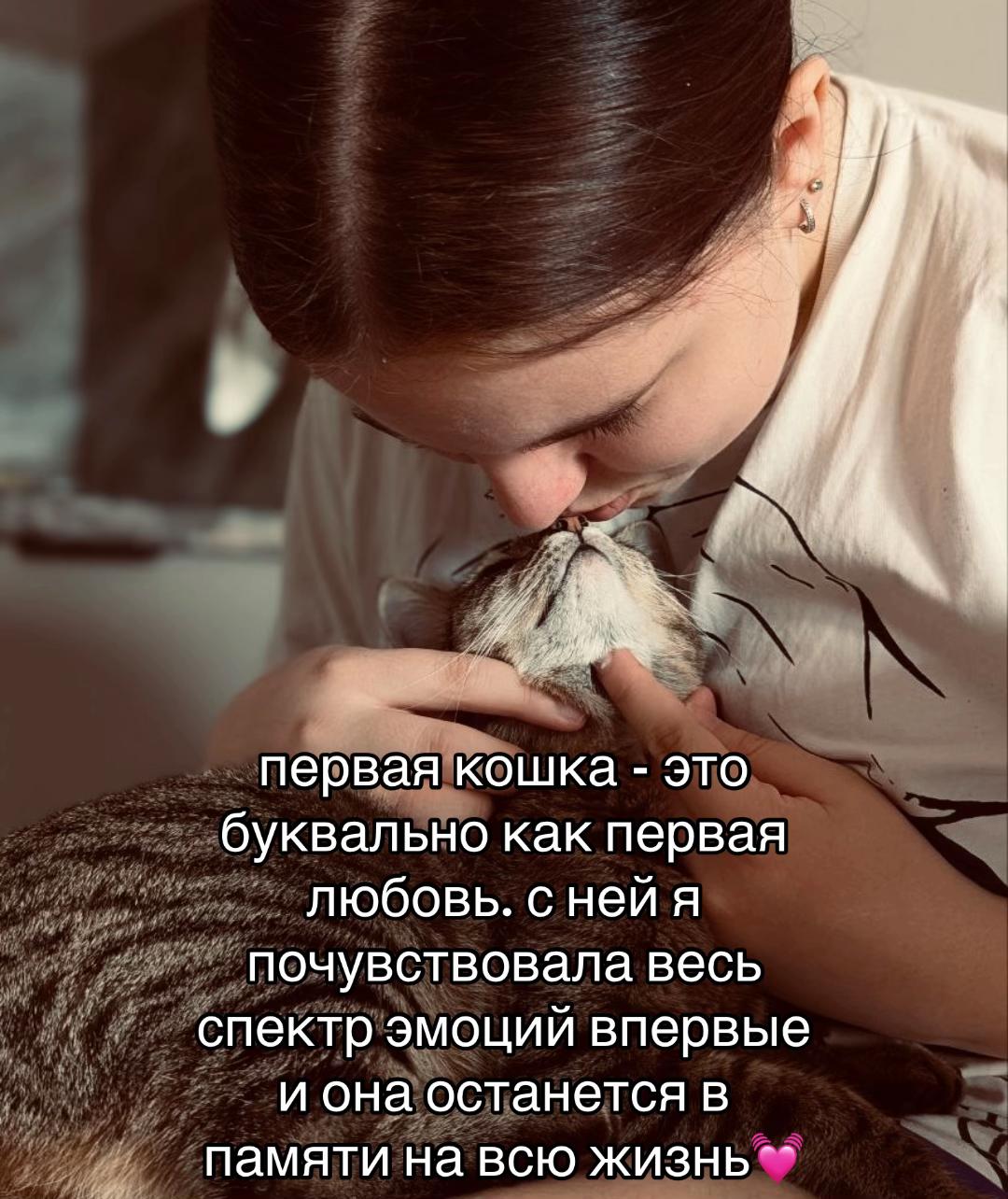 @polisha