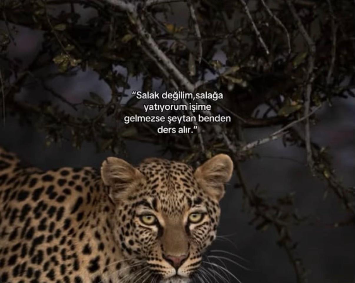 @𝐶𝑘𝑙𝑦𝑟𝑖𝑐𝑠𝑠