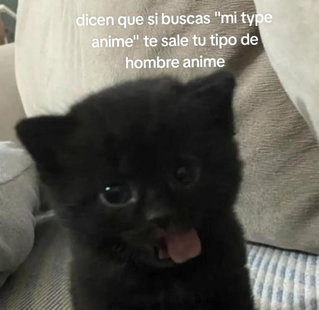 @🍜