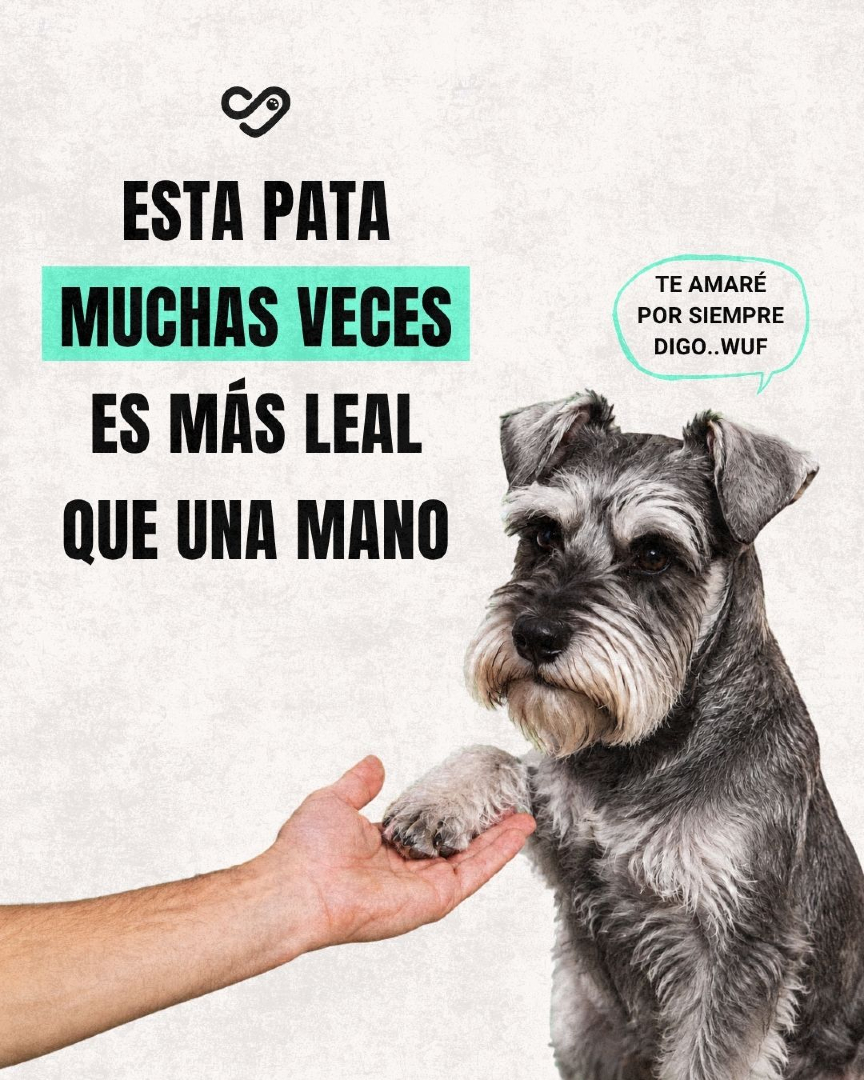 @Pancho Cavero