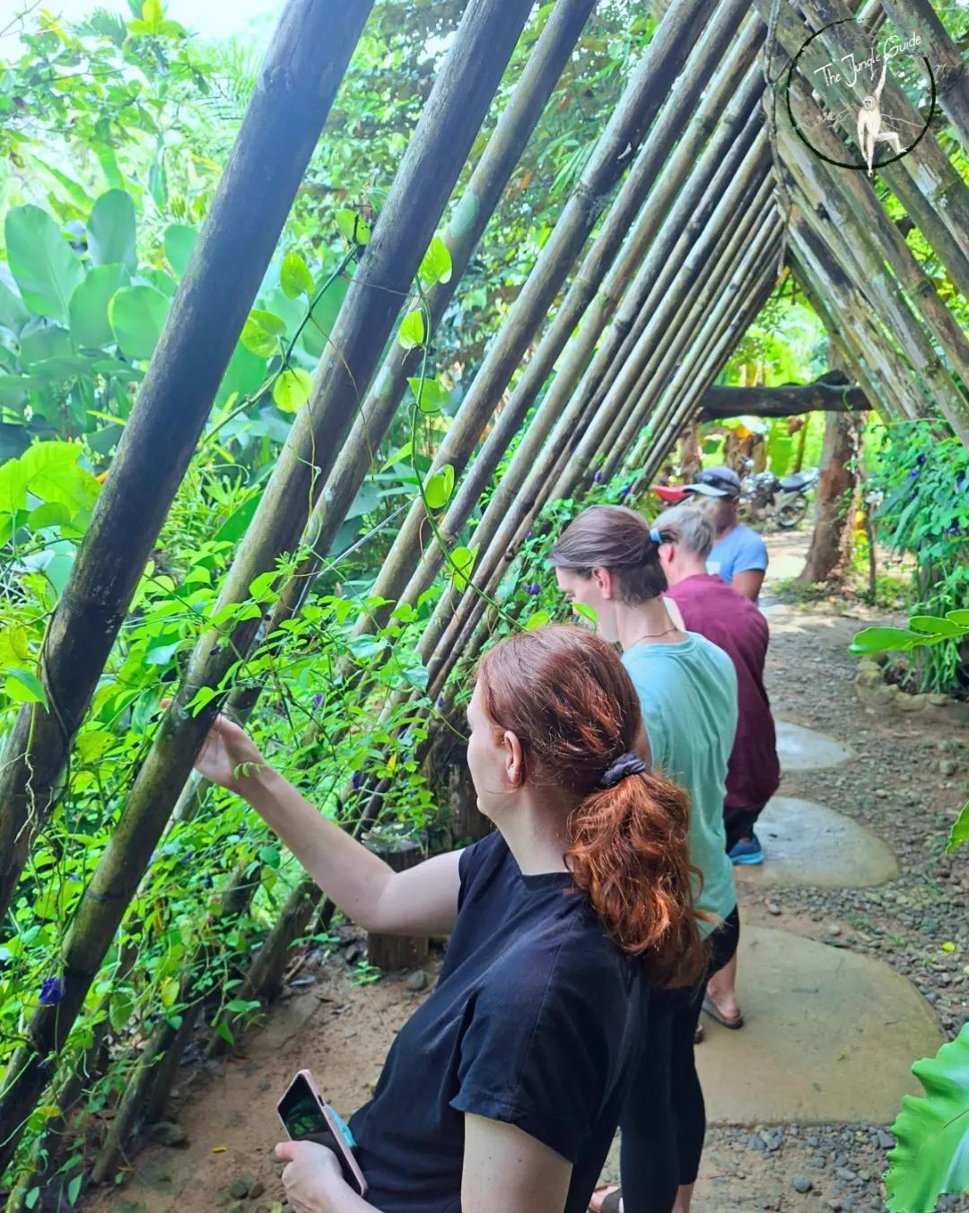 @The Jungle Guide