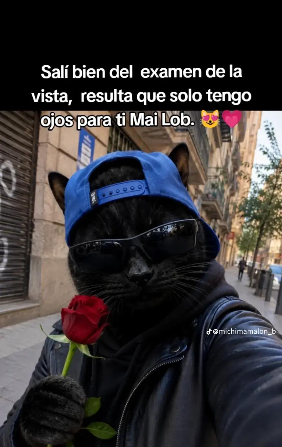 @Alex Rangel