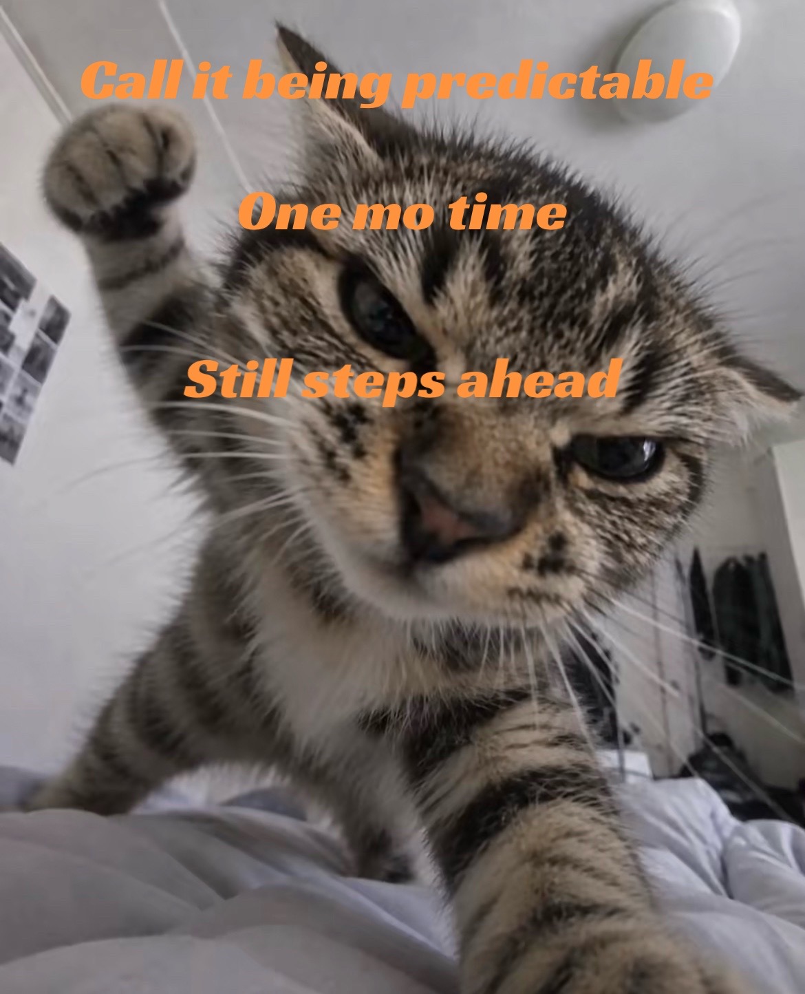 @Gizno Fox