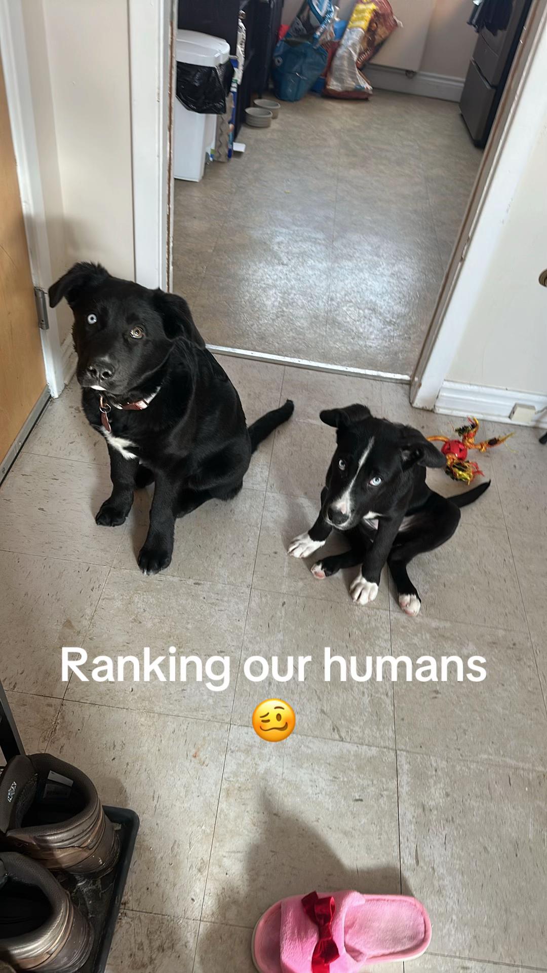 @Calistaalorasmommy