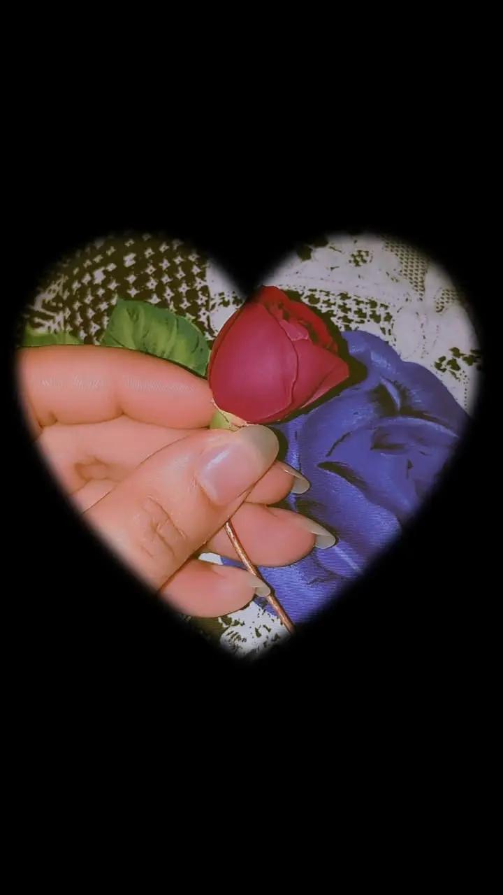 @Anmol Zahra