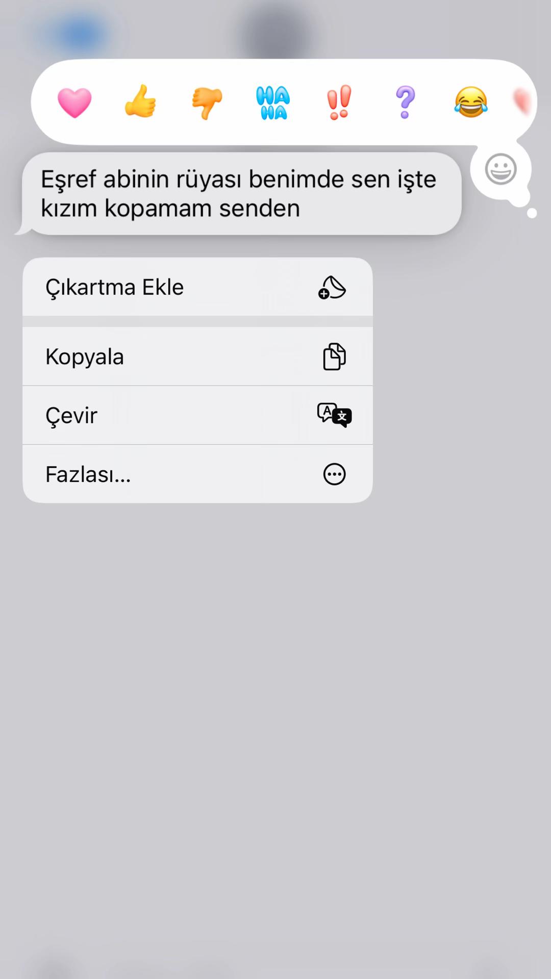 @elvandemirrr_