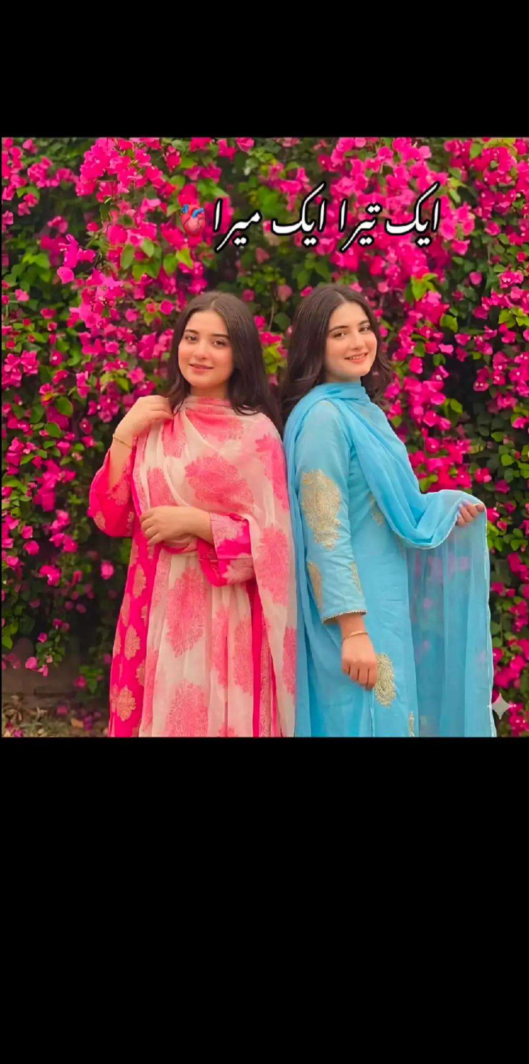 @Malik Bilal 🌹🤗
