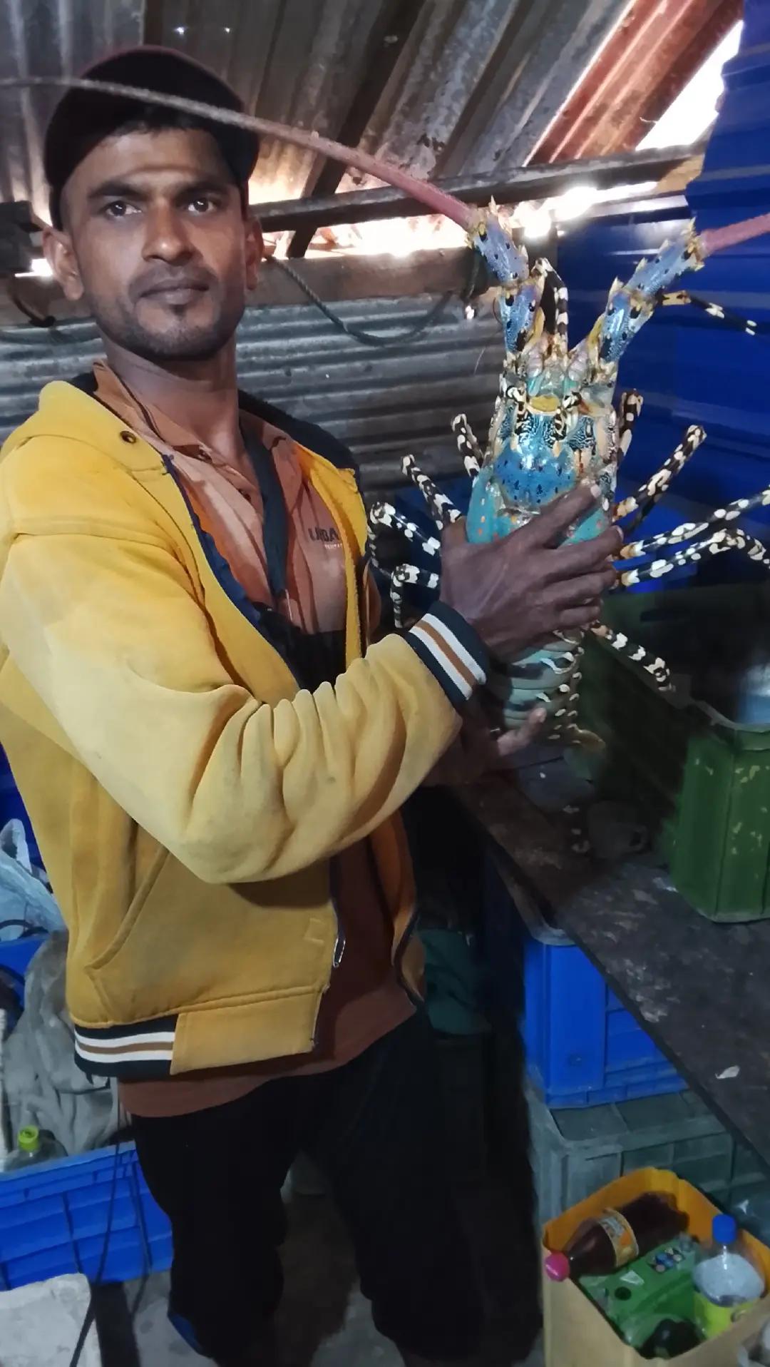 @Naeem