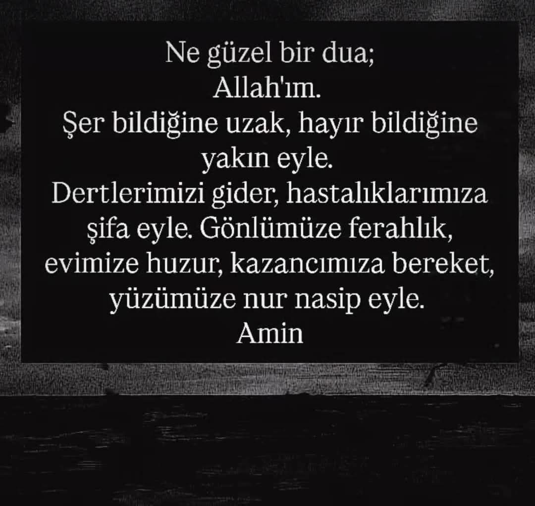@Raziye Erim
