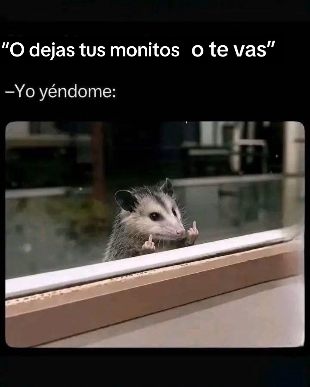 @Nina 🌕
