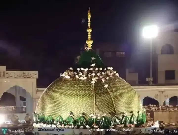 @inzamam jani