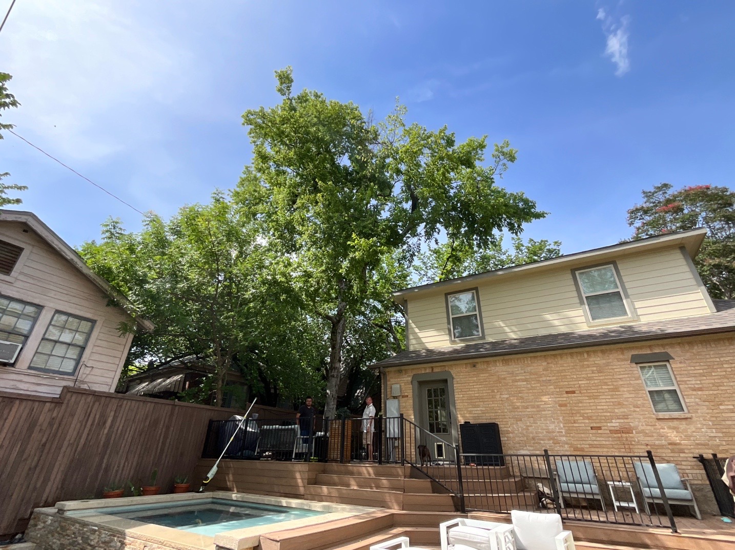 @Live Oak Tree Service