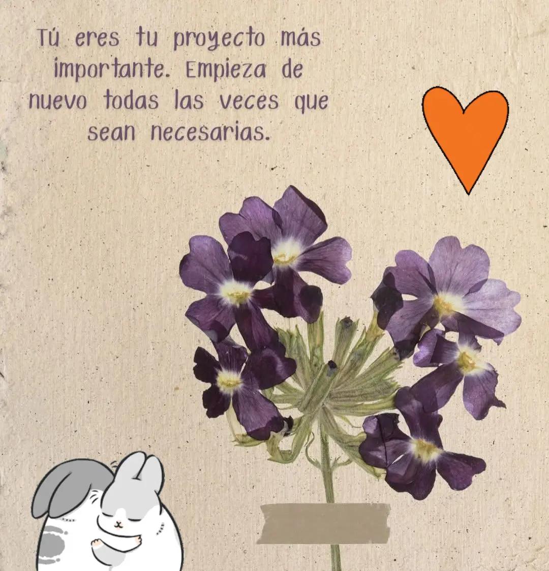 @Brendi V.