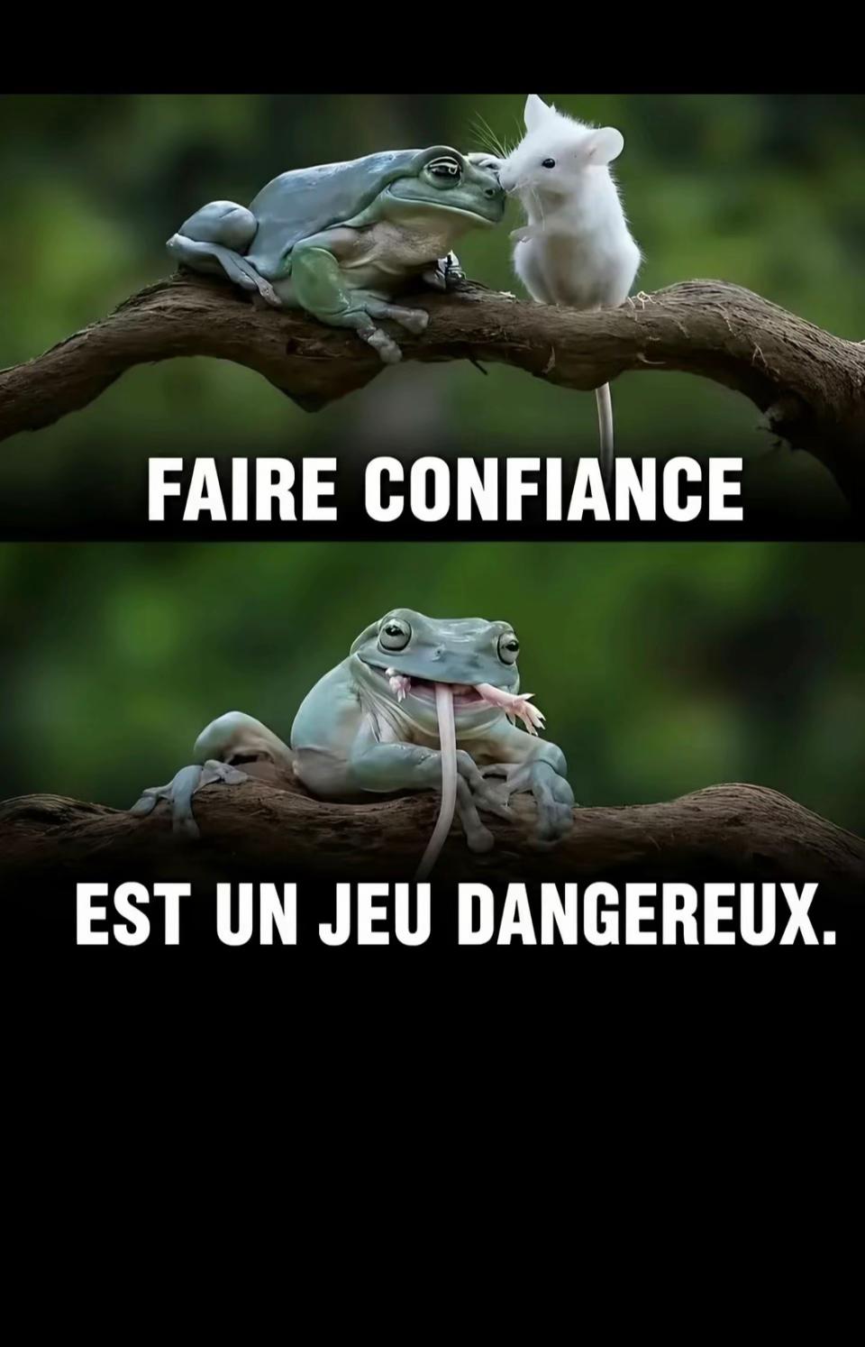 @SILENCIEUX ❣️