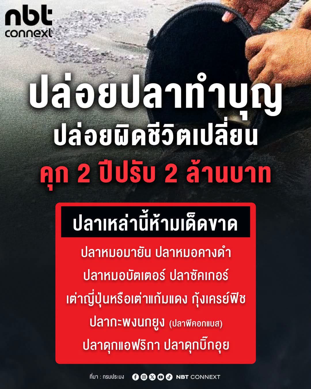 @° หมานิ้ง °