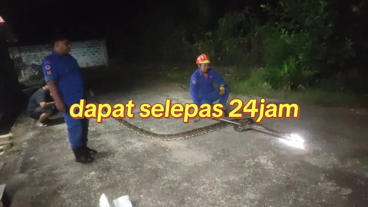@sukor