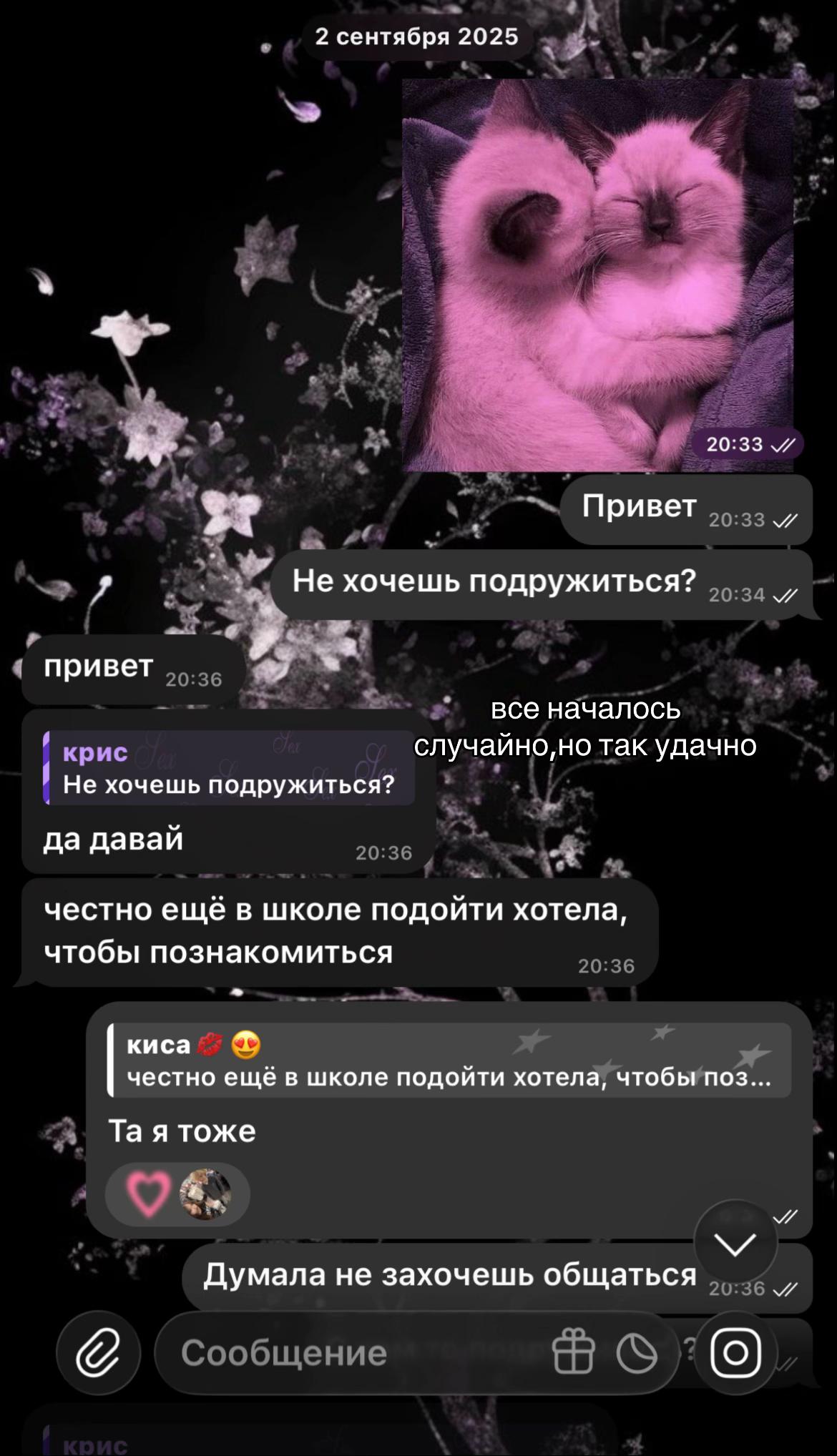 @krissweq🪽
