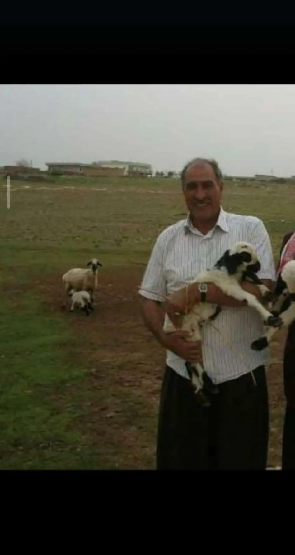 @Mahsum Sincar