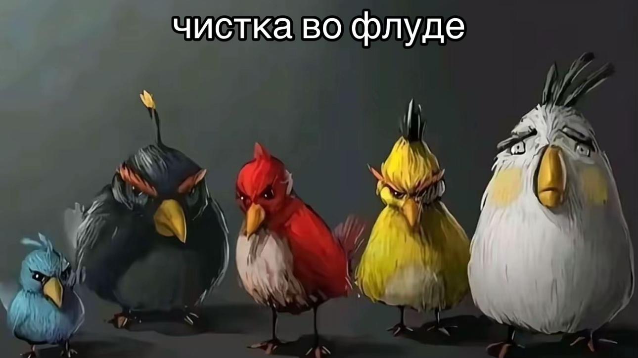 @meow
