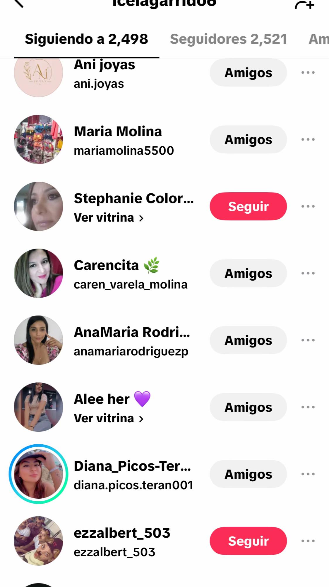 @icelagarrido6