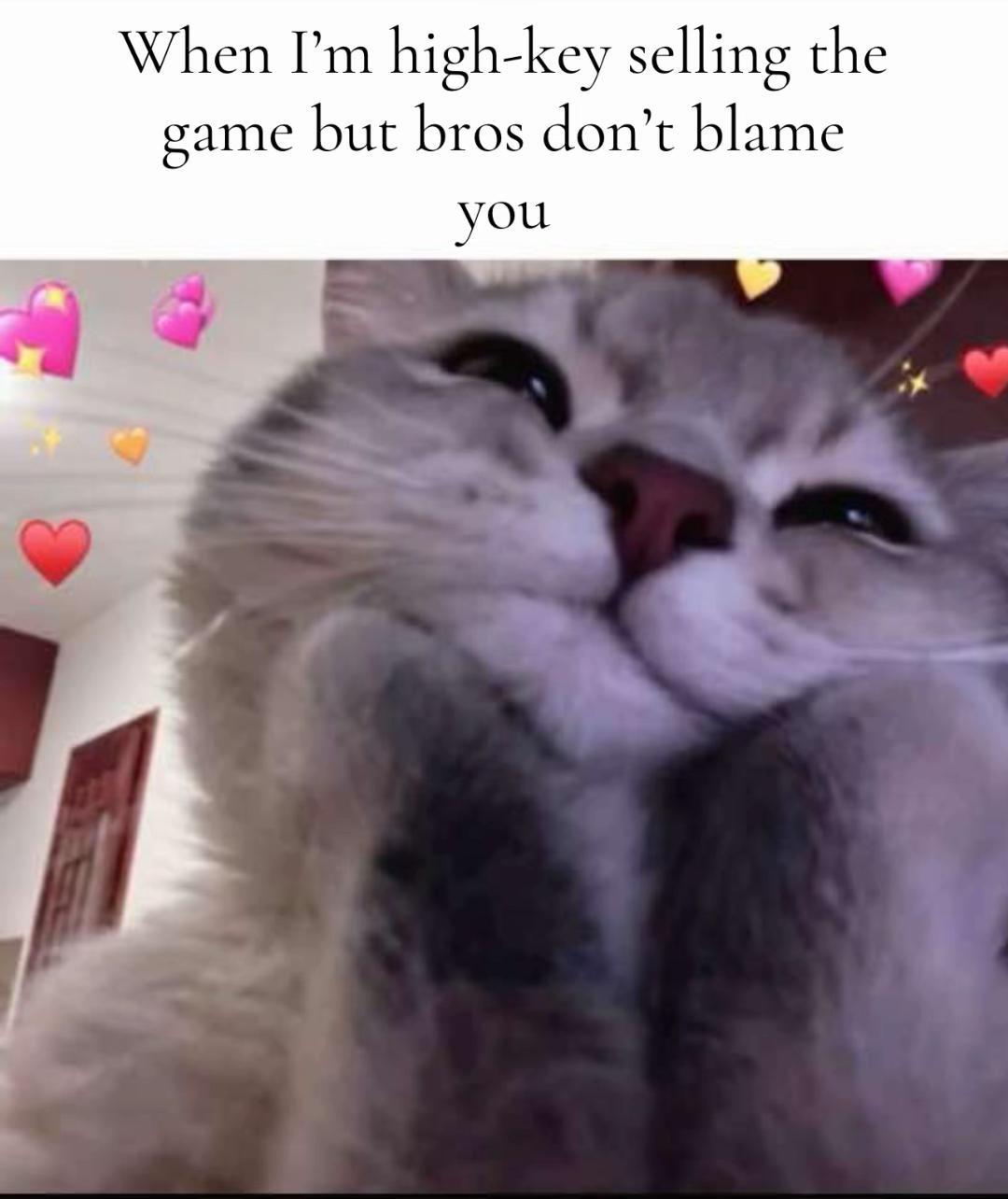 @Woofy BS⋆🐾&deg;