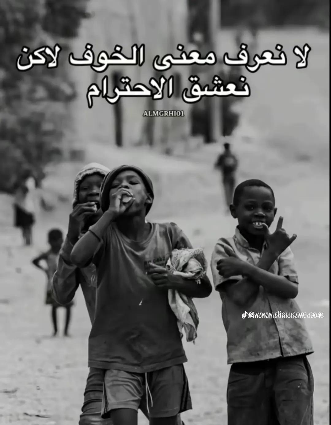 @islam-(Zr@31)