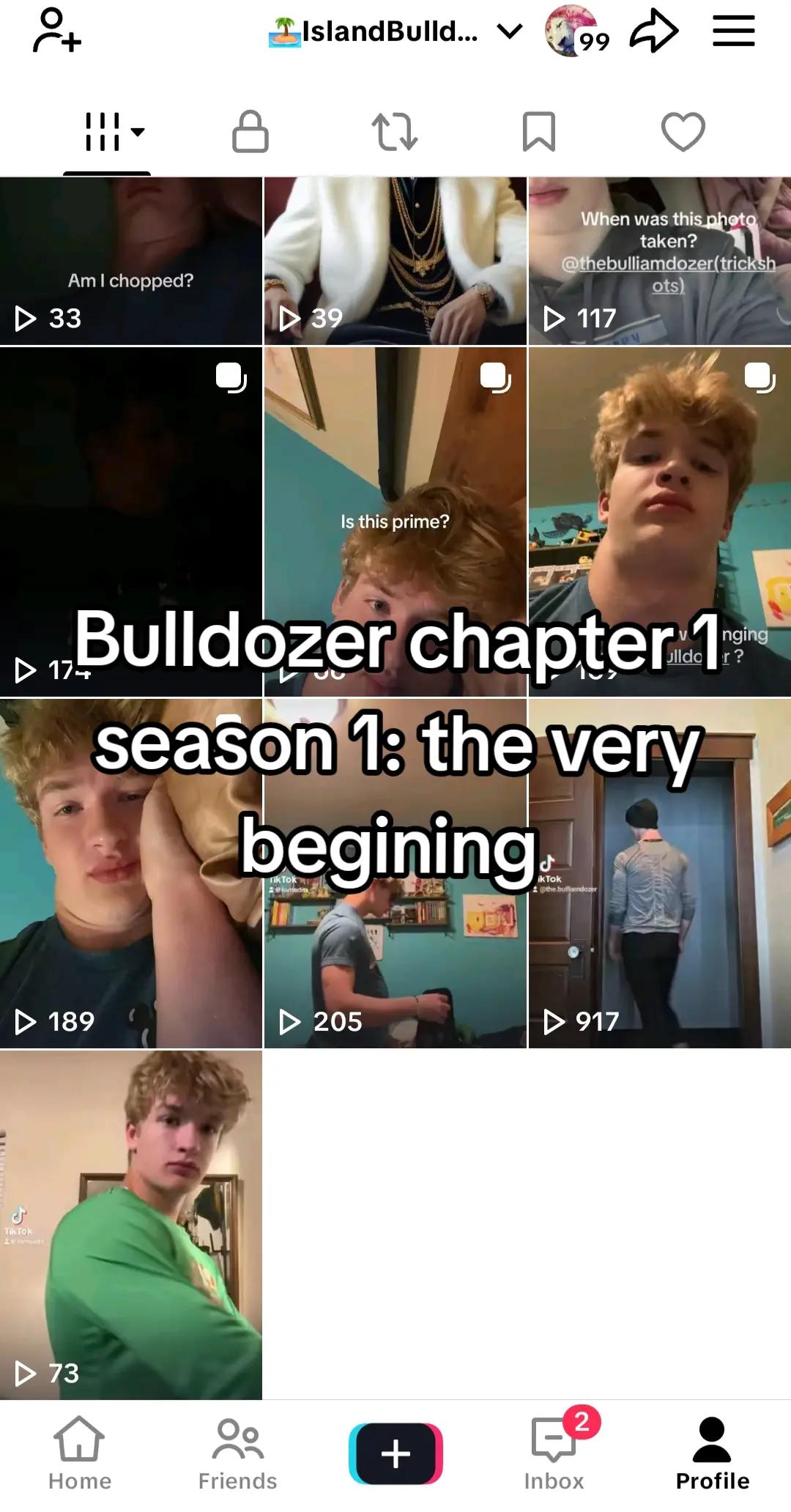 @🏝IslandBulldozer🏝