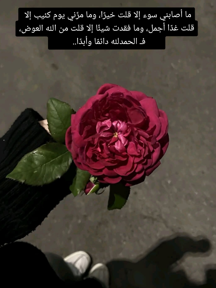 @أمہيّــّرة قلـبِوُلـأزوُجٌيّ♥️