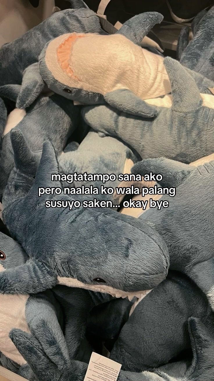 @jiae